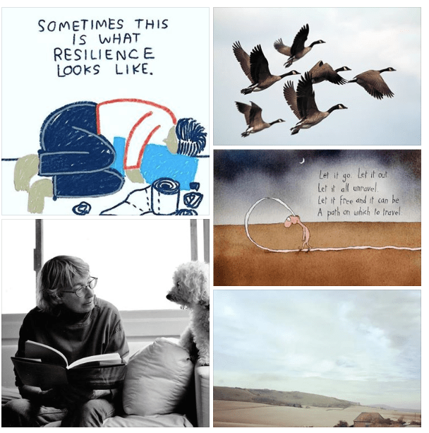 Screenshot 2019-02-18 at 21.43.28