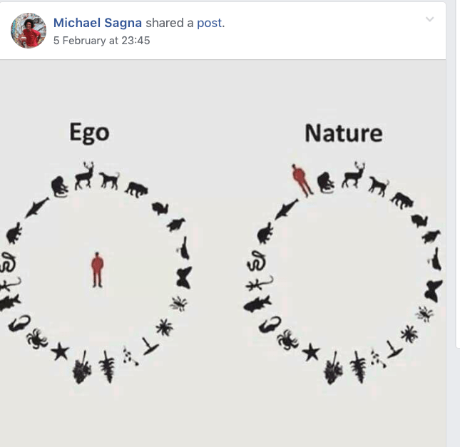 Screenshot 2019-02-18 at 21.45.56